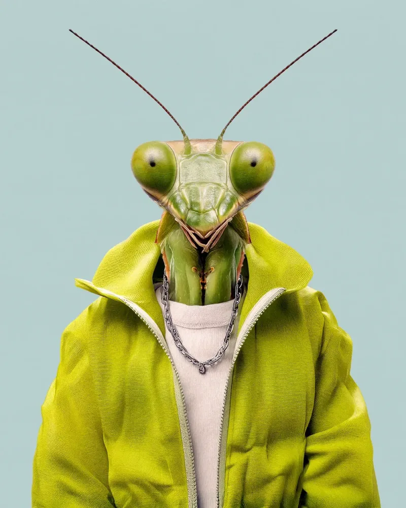 Bruno, Praying mantis — Animal Kinhood portrait by Yago Partal