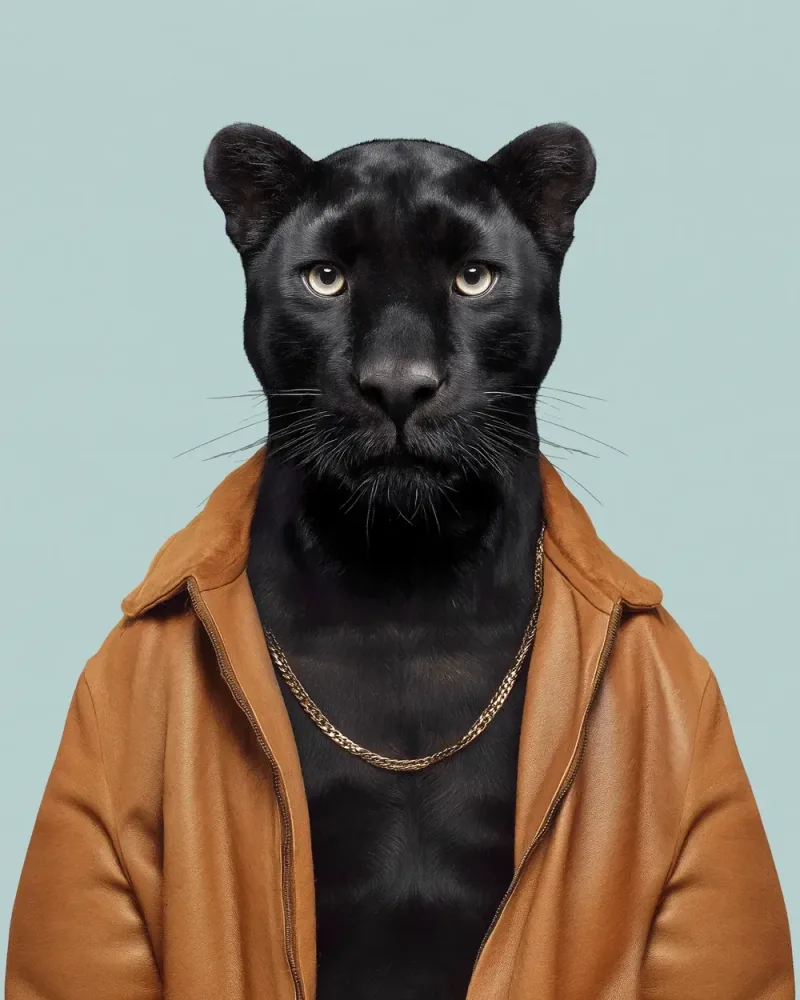 Cesar, Black panther — Animal Kinhood portrait by Yago Partal