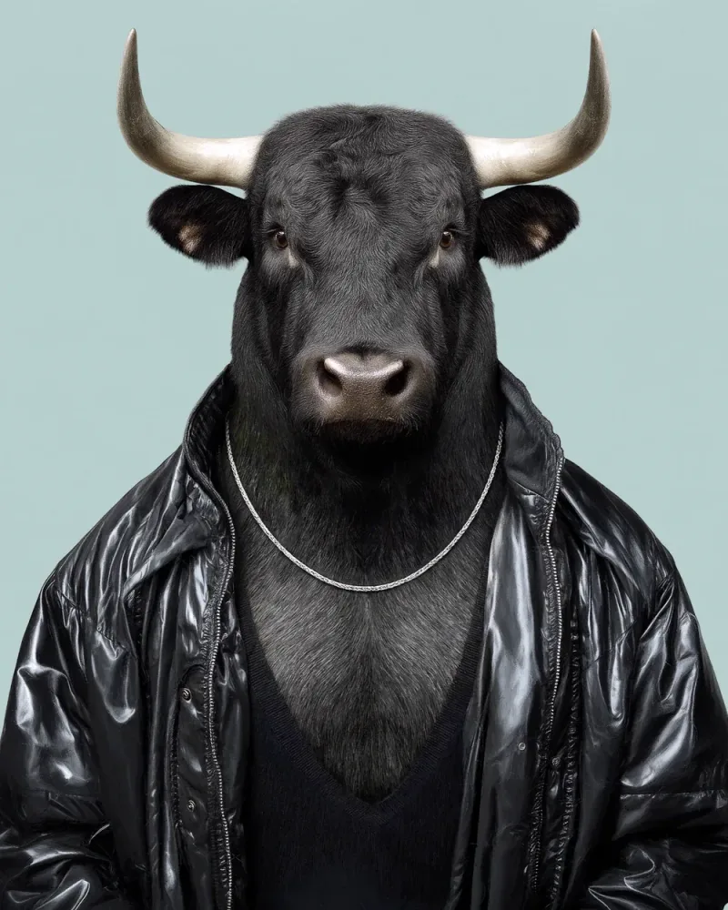 Fernando, Iberian bull — Animal Kinhood portrait by Yago Partal