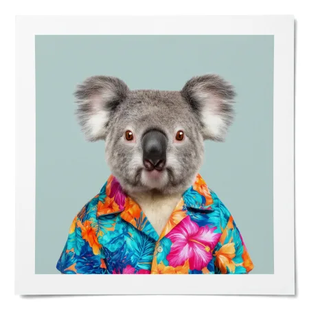 Cooper · Koala · Affiche mate