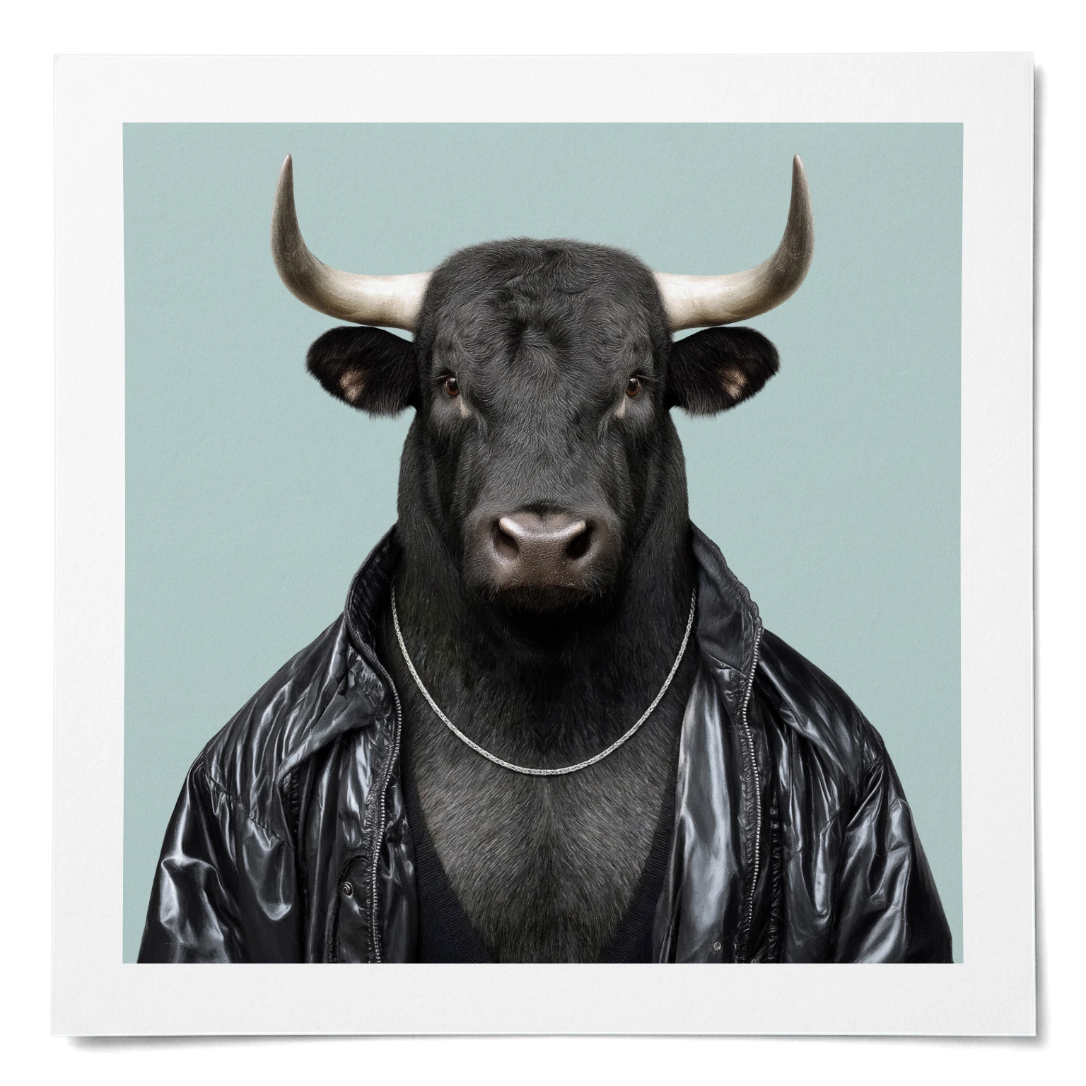 Fernando · Iberischer Stier · Mattes Poster
