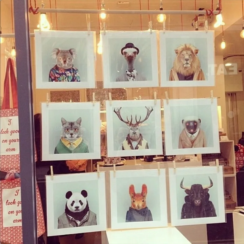 Zoo Portraits · archive 31 of 170