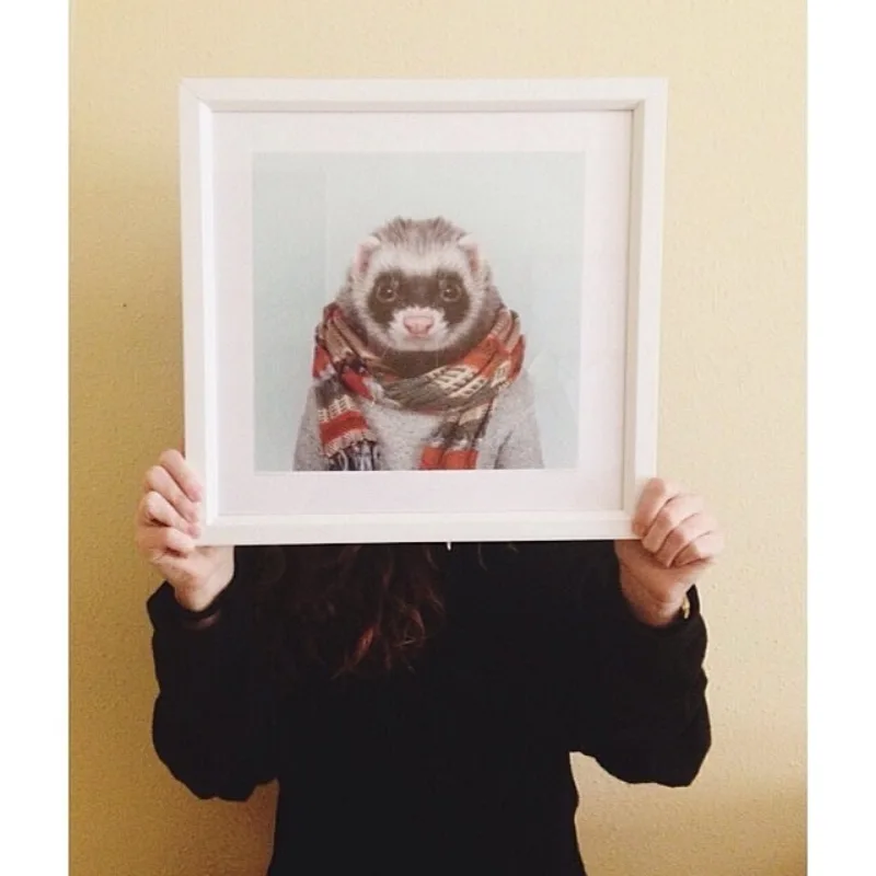 Zoo Portraits · archive 32 of 170