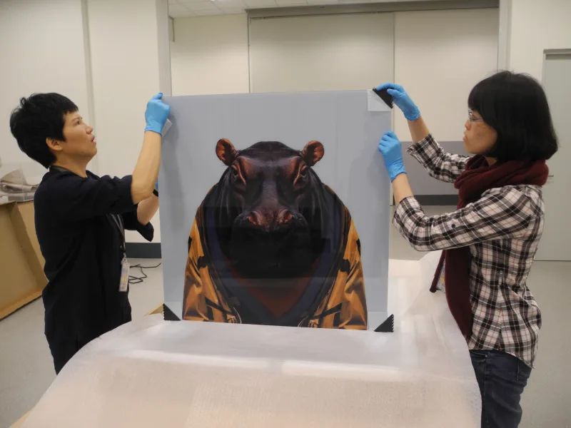 Two technicians with blue gloves inspecting a hippopotamus limited edition · Chimei Museum