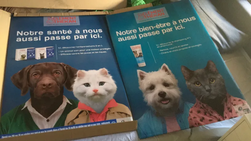 Clément Thékan · veterinary campaign posters with dog and cat, westie and grey cat